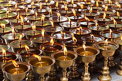 《我和七个俏房客》在Steam正式发售 优惠价37.8元